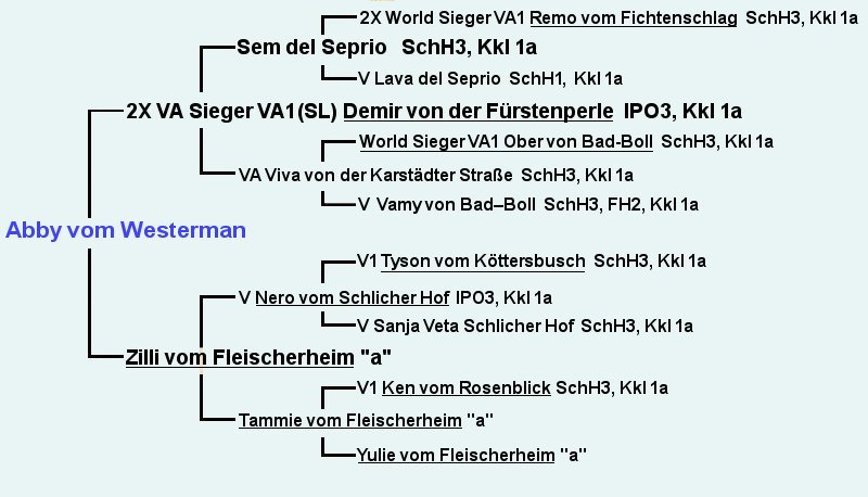 Pedigree of Nero vom Schlicher Hof IPO3 Vom Westerman German Shepherd